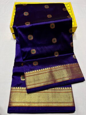Meena Kalanjali Semi Paithani